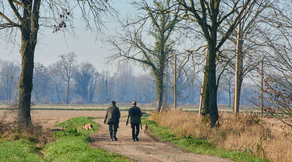 I poteri delle Regioni sui calendari venatori la sentenza del Tar poteri delle Regioni sui calendari venatori: due cacciatori di spalle lungo strada di campagna, insieme a cane