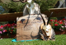 Prova di lavoro per cani da traccia: domenica il Memorial Fulvio Ponti Prova di lavoro per cani da traccia, domenica il Memorial Fulvio Ponti