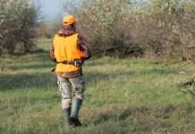 Associazione unica dei cacciatori, Fassini risponde a Castellani associazione unica dei cacciatori: cacciatore di spalle con gilet alta visibilità