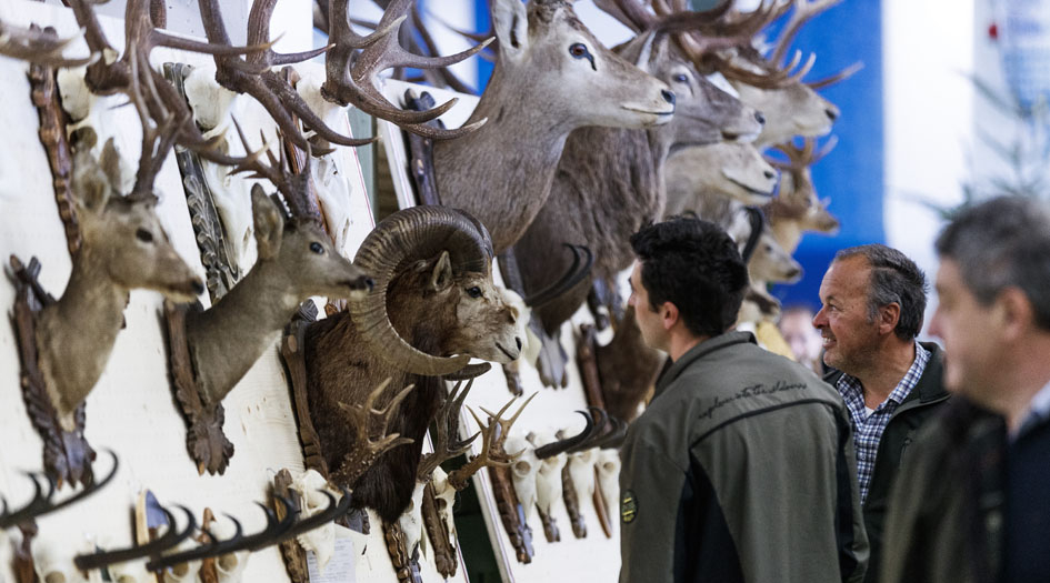 Caccia alpina e di selezione ecco Expo del Cacciatore, la nuova fiera di Riva del Garda Caccia alpina e di selezione ecco Expo del Cacciatore, la nuova fiera di Riva del Garda