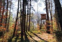 Il futuro della caccia: una falsa spaccatura il futuro della caccia: altana nel bosco