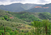 Approvato il piano faunistico-venatorio della Liguria piano faunistico-venatorio della Liguria: paesaggio al confine tra Liguria e Toscana