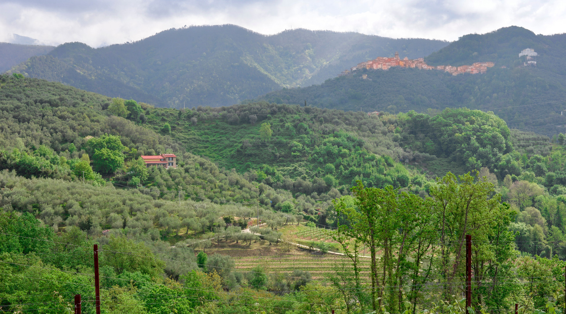 Approvato il piano faunistico-venatorio della Liguria piano faunistico-venatorio della Liguria: paesaggio al confine tra Liguria e Toscana