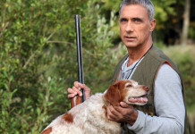 Tutela degli animali in Costituzione, primo sì del Senato tutela degli animali in costituzione: cacciatore con carabina accarezza setter inglese bianco-arancio