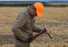 Durata della stagione venatoria, la sentenza della Corte costituzionale durata della stagione venatoria: cacciatore con fucile in mano e cappello alta visibilità