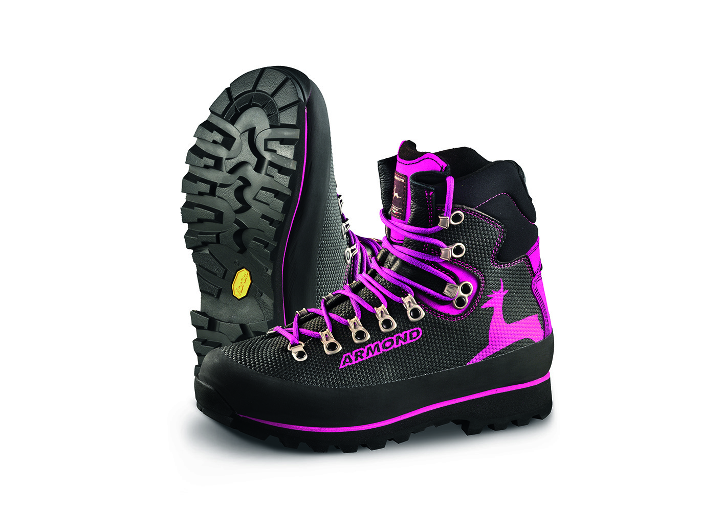 Piz Palù 2550 Lady Piz Palù 2550 Lady