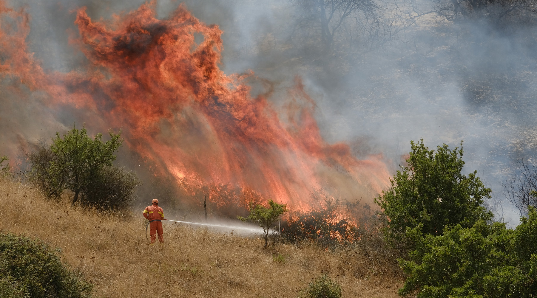 Caccia nelle zone incendiate, Arcicaccia scrive alla commissione Ambiente Caccia nelle zone incendiate: incendio a Geraci, Sicilia