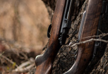 Confisca dell’arma dopo oblazione: la sentenza Confisca dell’arma dopo oblazione: due fucili appoggiati a tronco di un albero