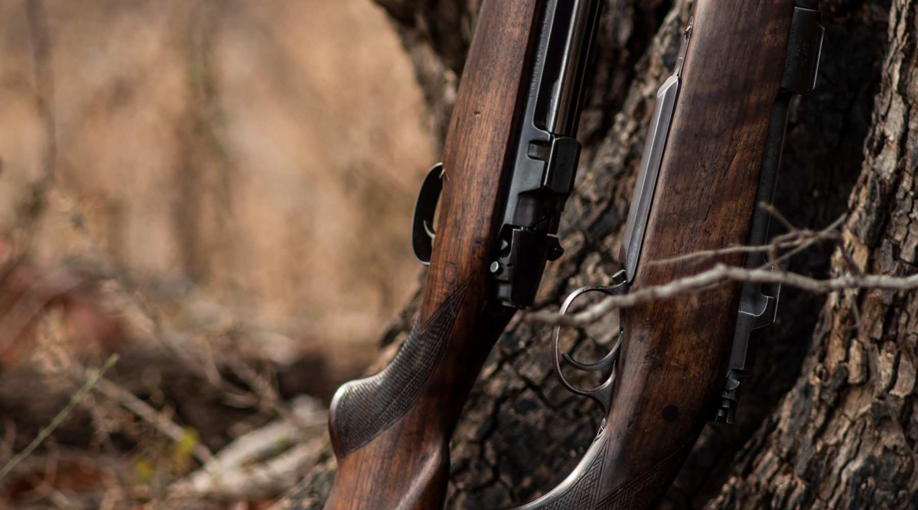 Confisca dell’arma dopo oblazione la sentenza Confisca dell’arma dopo oblazione: due fucili appoggiati a tronco di un albero