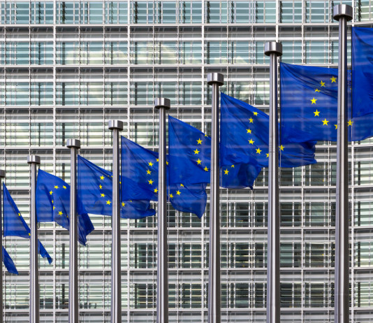 Presentato il programma dell’intergruppo Caccia e biodiversità per il 2022 Presentato il programma dell’intergruppo Caccia e biodiversità per il 2022: bandiere davanti al parlamento europeo