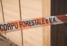 Guardie o carabinieri forestali? La sentenza del Tar Guardie o carabinieri forestali: nastro del corpo forestale dello Stato