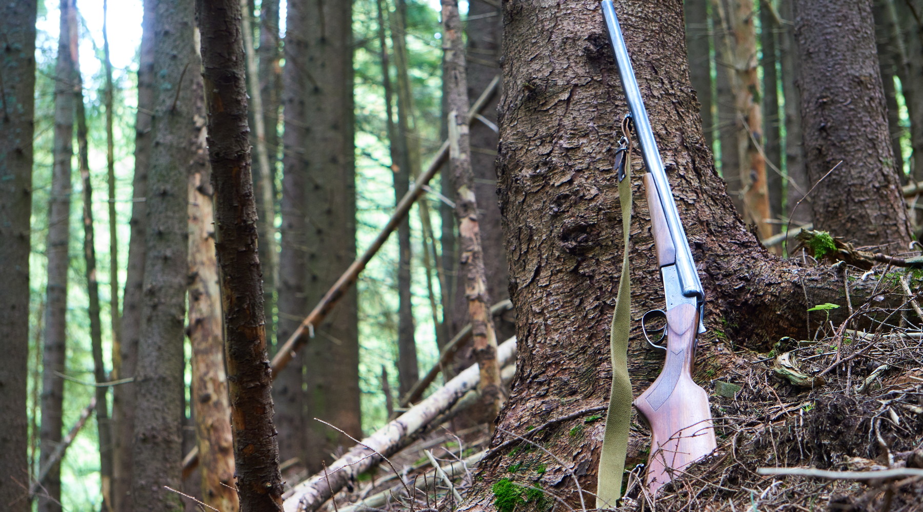 Incidenti di caccia i dati del 2021 Incidenti di caccia: fucile appoggiato a un albero nella foresta