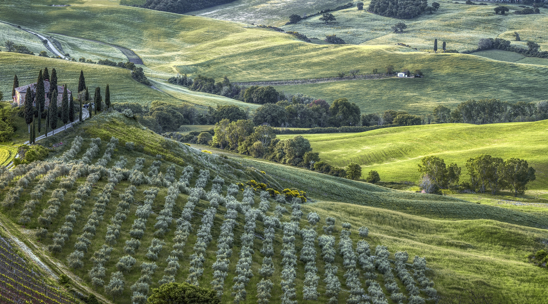 La tutela della biodiversità in Costituzione La tutela della biodiversità in Costituzione: paesaggio toscano, italian landscape