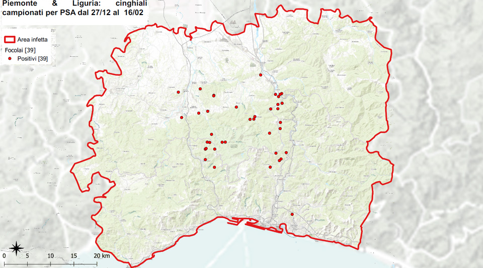 Perimetro della zona rossa per psa, Liguria chiede ridefinizione Perimetro della zona rossa per psa, Liguria chiede ridefinizione