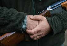 Federcaccia contro piano faunistico-venatorio della Lombardia Federcaccia contro piano faunistico-venatorio della Lombardia: cacciatore con carabina tra le mani