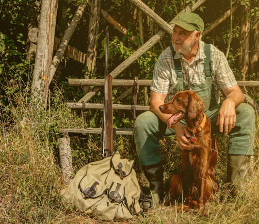 Futuro della caccia in Italia: l’appello del Cncn Futuro della caccia in Italia: cacciatore davanti ad altana con setter irlandese