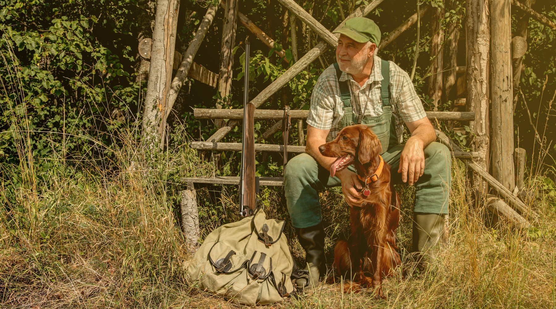 Futuro della caccia in Italia l’appello del Cncn Futuro della caccia in Italia: cacciatore davanti ad altana con setter irlandese