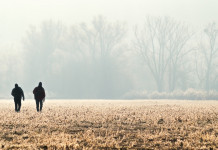 Guardie venatorie volontarie, Fidc chiede confronto a Toscana Guardie venatorie volontarie: due cacciatori di spalle nella nebbia