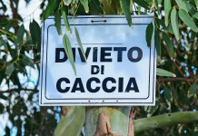 Divieto di caccia e poteri del sindaco: la sentenza del Tar Divieto di caccia e poteri del sindaco: cartello che indica il divieto di caccia