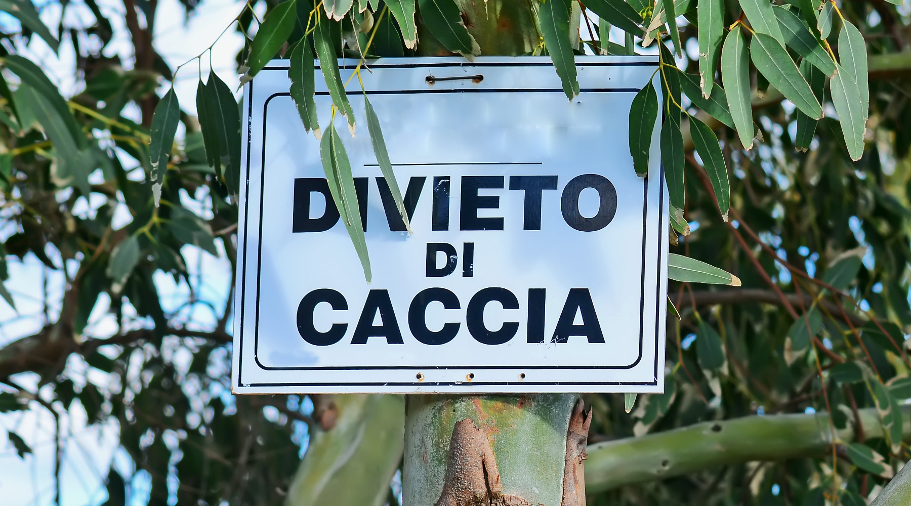 Divieto di caccia e poteri del sindaco la sentenza del Tar Divieto di caccia e poteri del sindaco: cartello che indica il divieto di caccia