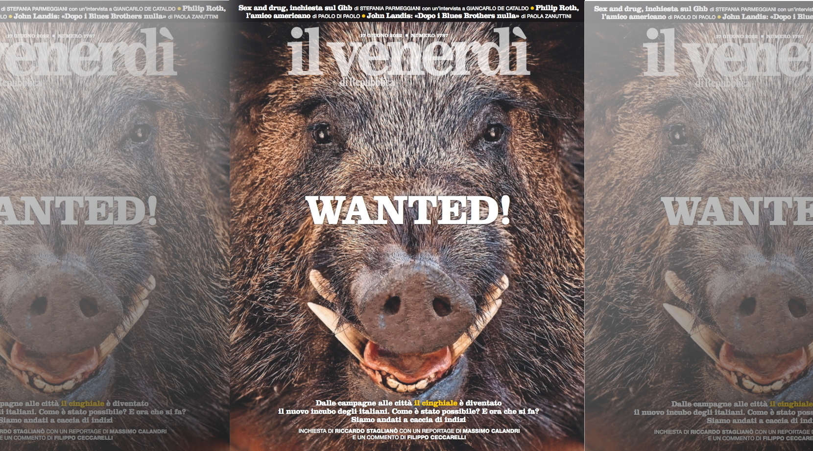 La gestione del cinghiale sul Venerdì di Repubblica La gestione del cinghiale sul Venerdì di Repubblica
