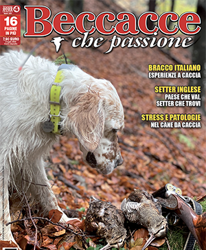 Beccacce che Passione n. 4 2022: l’editoriale del direttore Beccacce che Passione