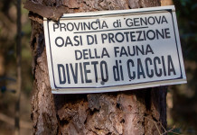 In armi in area protetta non tabellata: la sentenza della Cassazione In armi in area protetta non tabellata: cartello che indica il divieto di caccia