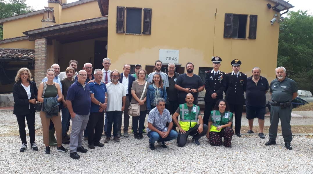 Cras Marche più di 11.000 animali selvatici recuperati in tre anni Cras Marche più di 11.000 animali selvatici recuperati in tre anni
