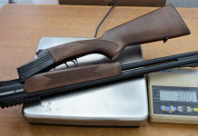 Effebi Delta Next calibro 20/76 e .44 magnum: il test Effebi Delta Next calibro 2076 e .44 magnum il test