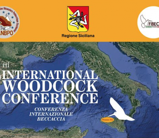 La beccaccia nel Mediterraneo: 10 settembre convegno in Sicilia beccaccia nel Mediterraneo