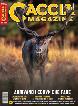 Caccia Magazine n.11 novembre 2022 l’editoriale del direttore Caccia Magazine n.11 novembre 2022 l’editoriale del direttore