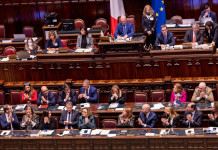 Legge di bilancio, tre passaggi sulla gestione della fauna Legge di bilancio, tre passaggi sulla gestione della fauna