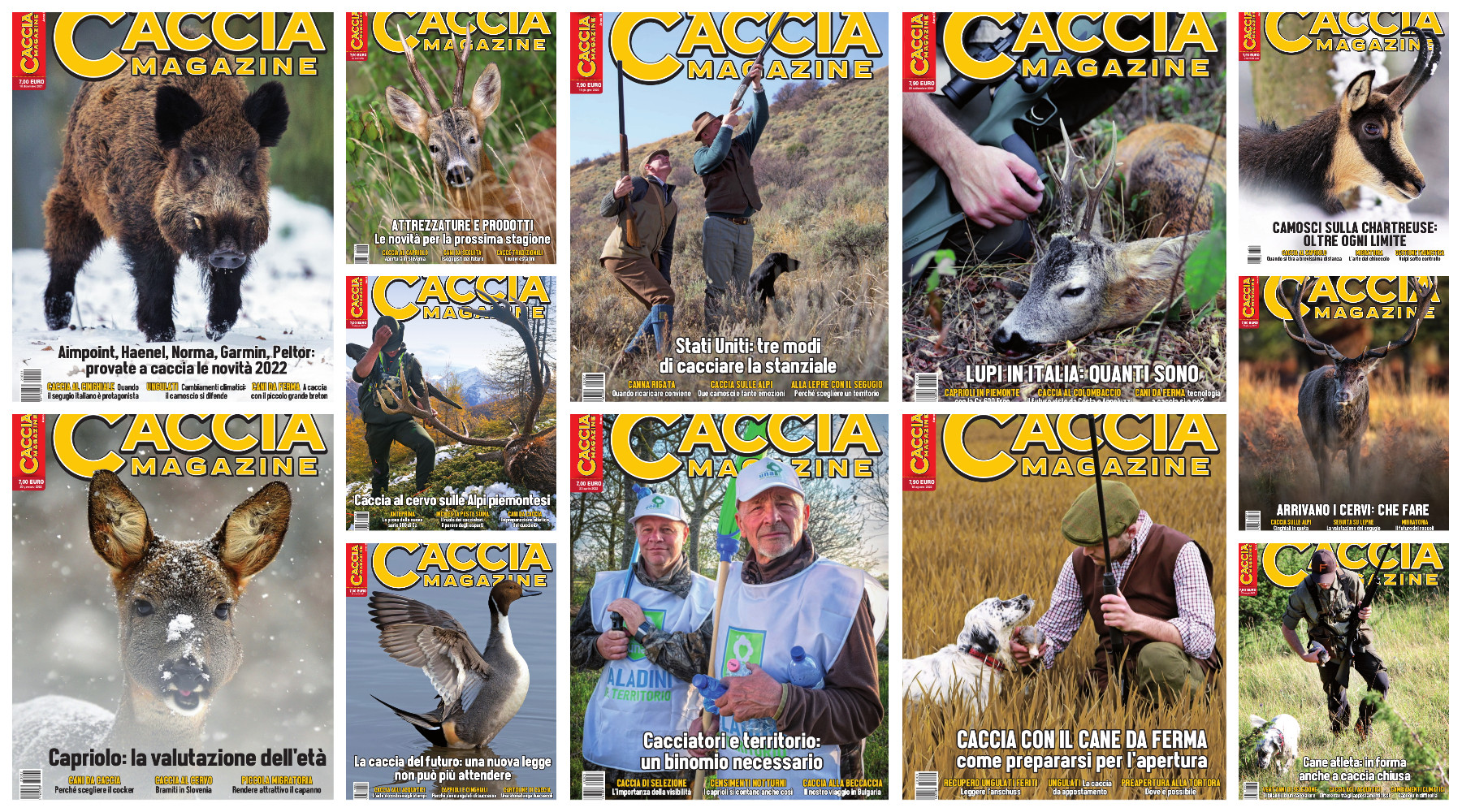 Prezzi vantaggiosi per abbonarsi a Caccia Magazine Prezzi vantaggiosi per abbonarsi a Caccia Magazine