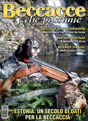 beccacce che passione editoriale beccacce che passione editoriale