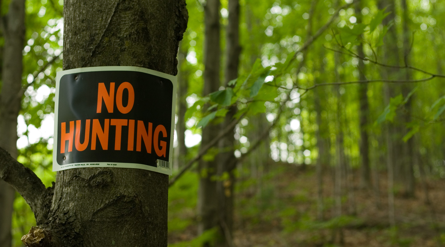 Proposto nuovo referendum sulla caccia Proposto nuovo referendum sulla caccia: cartello "no hunting" appeso a un albero