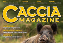 Caccia Magazine marzo 2023 Caccia Magazine marzo 2023