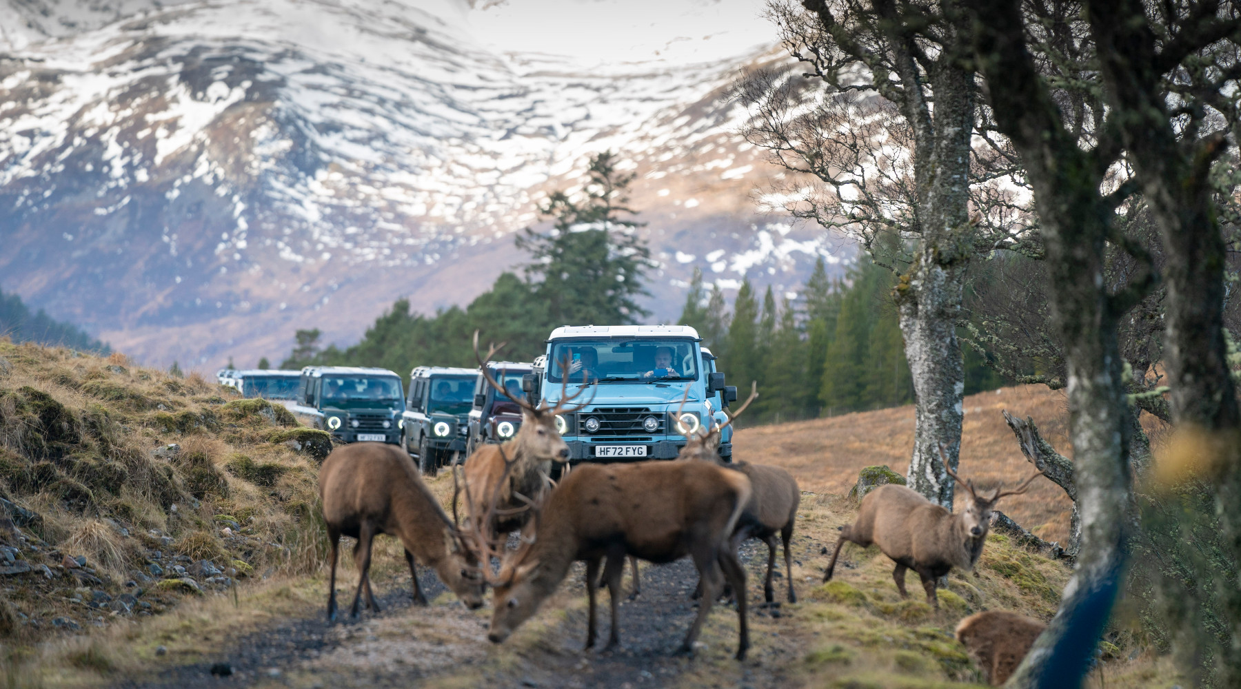 Ineos Grenadier, un fuoristrada 4x4 a Eos 23 Ineos Grenadier, un fuoristrada 4x4 a Eos 23