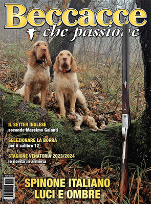 Beccacce che Passione numero 3 2023 vi aspetta in edicola Beccacce che Passione 3 2023