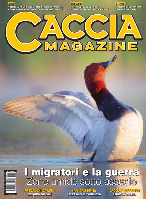 caccia magazine luglio 2023 caccia magazine luglio 2023