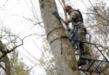 Caccia con l’arco, presentata proposta su divieto Caccia con l’arco, presentata proposta su divieto: cacciatore con arco su treestand