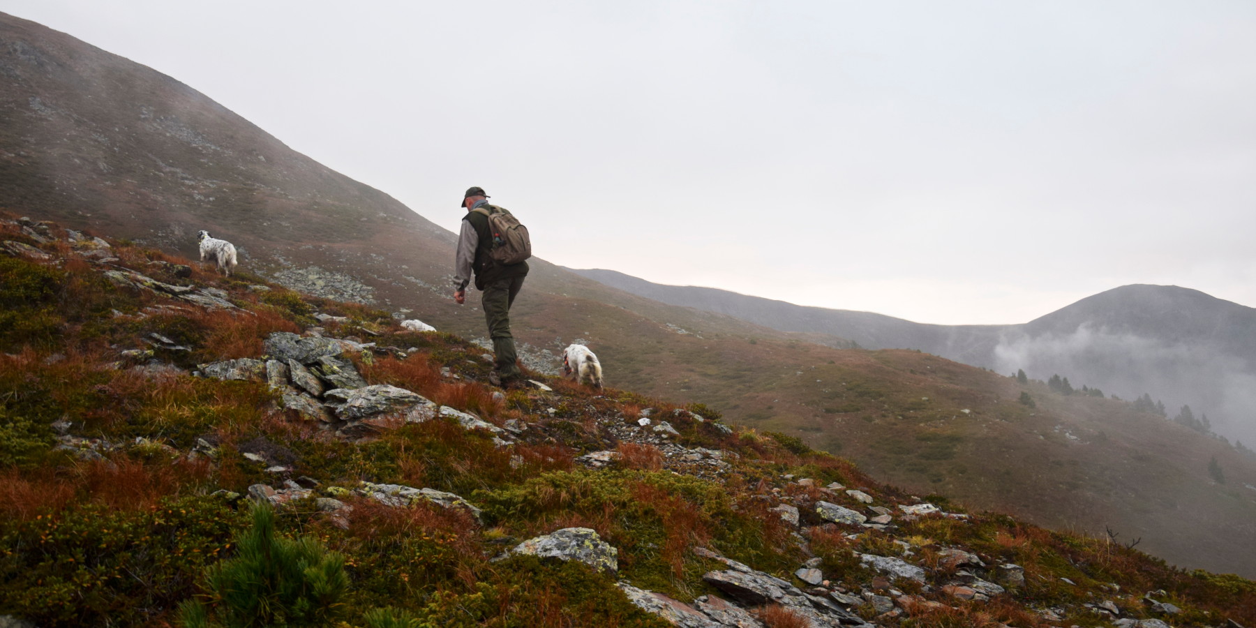 la cultura della caccia la cultura della caccia: cacciatore sale montagna con cani