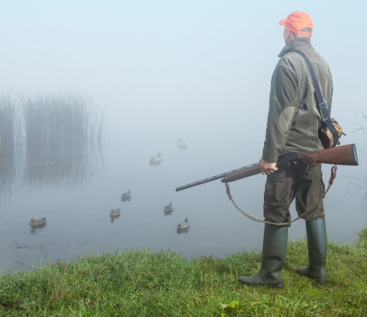 Richiami vivi e influenza aviaria, ministero risponde a Libera Caccia Richiami vivi e influenza aviaria, ministero risponde a Libera Caccia: cacciatore con fucile a caccia di uccelli acquatici