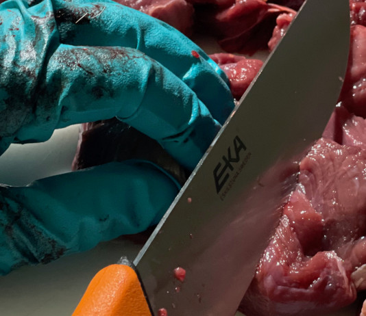 A caccia con il medico: salmonellosi, ossia alimenti contaminati A caccia con il medico salmonellosi: coltello taglia carne cruda