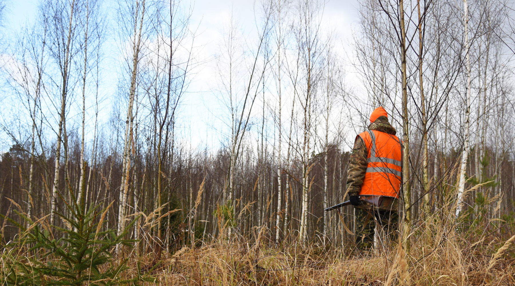 Riforma delle leggi sulla caccia e sul maltrattamento animale, oggi doppio appuntamento Riforma delle leggi sulla caccia e sul maltrattamento animale, oggi doppio appuntamento: cacciatore con gilet alta visibilità