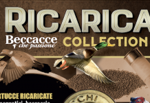 Ricarica Collection 5 vi aspetta in edicola Ricarica Collection 5