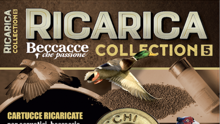 Ricarica Collection 5