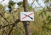 Abolizione della caccia e referendum, Buconi (Fidc) contro Bonelli Abolizione della caccia e referendum, Buconi (Fidc) contro Bonelli: segnale di divieto di caccia nel bosco