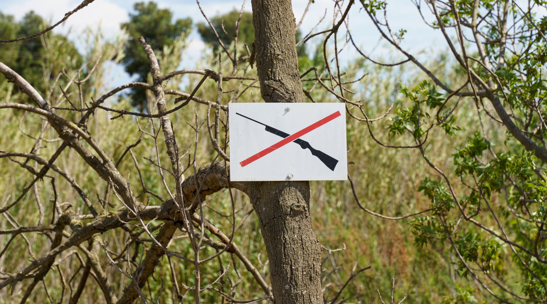 Abolizione della caccia e referendum, Buconi (Fidc) contro Bonelli Abolizione della caccia e referendum, Buconi (Fidc) contro Bonelli: segnale di divieto di caccia nel bosco
