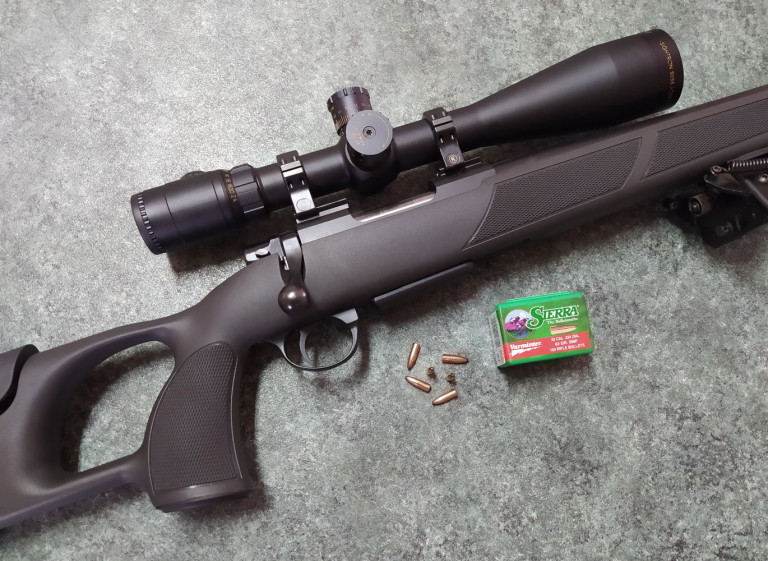 Ricarica calibro .223 Remington con palla Sierra Varminter Smp di 63 grani il test