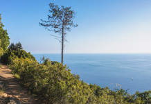 Tar Liguria annulla decreto di perimetrazione del Parco di Portofino Tar Liguria annulla decreto di perimetrazione del Parco di Portofino